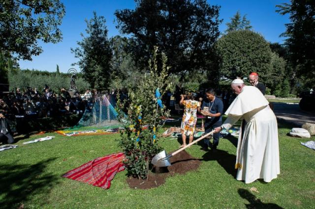Dia mundial do meio ambiente: Dicas do Papa Francisco para o cuidado com a Criação