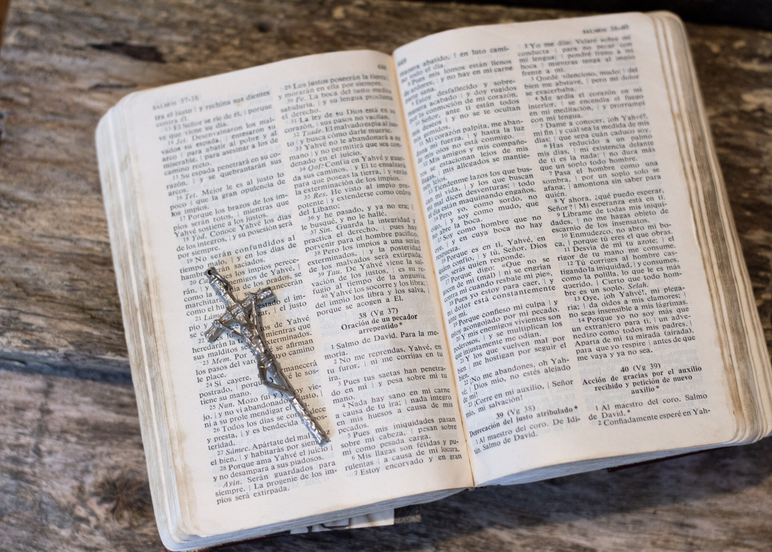 Setembro: Por que celebrar o mês da Bíblia?