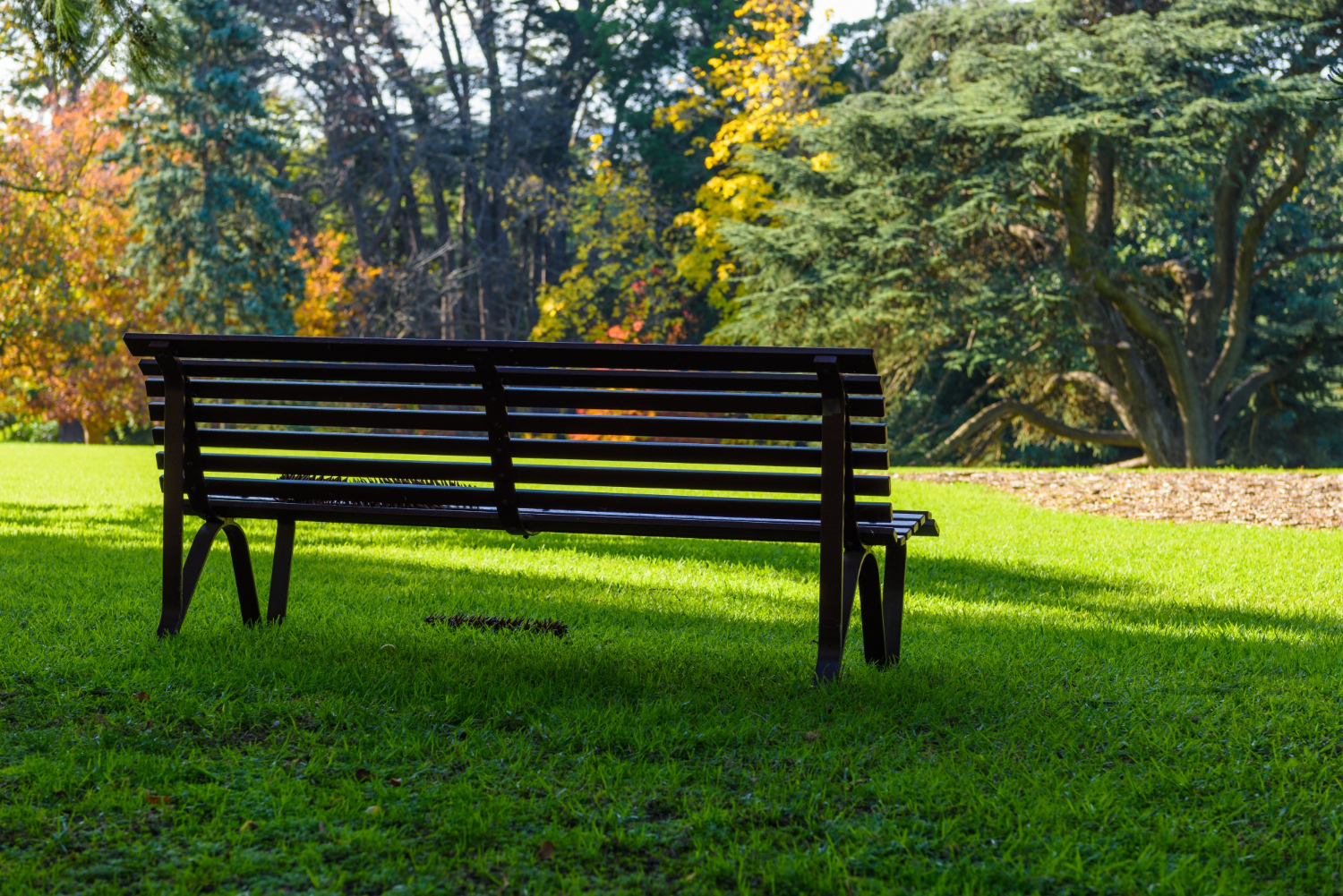 O dom do descanso: descubra o poder transformador de um período sabático
